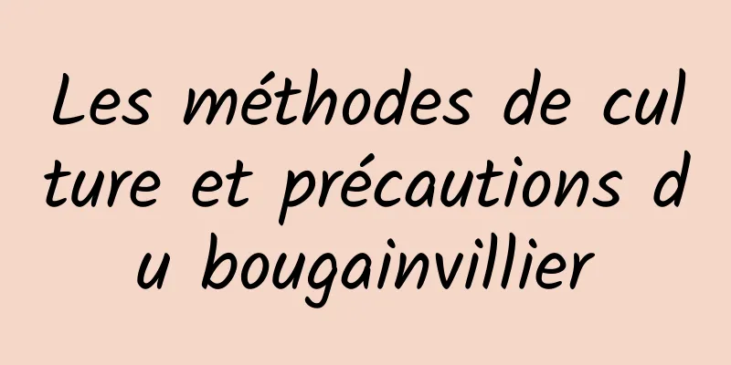 Les méthodes de culture et précautions du bougainvillier