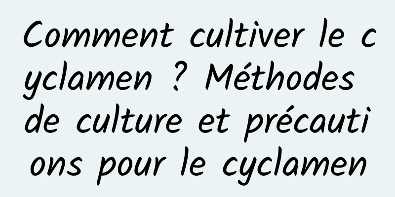 Comment cultiver le cyclamen ? Méthodes de culture et précautions pour le cyclamen