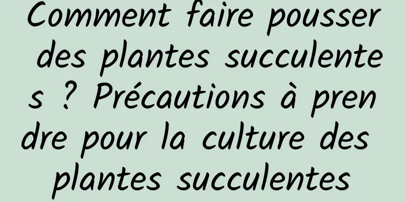 Comment faire pousser des plantes succulentes ? Précautions à prendre pour la culture des plantes succulentes