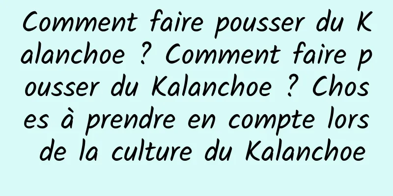 Comment faire pousser du Kalanchoe ? Comment faire pousser du Kalanchoe ? Choses à prendre en compte lors de la culture du Kalanchoe