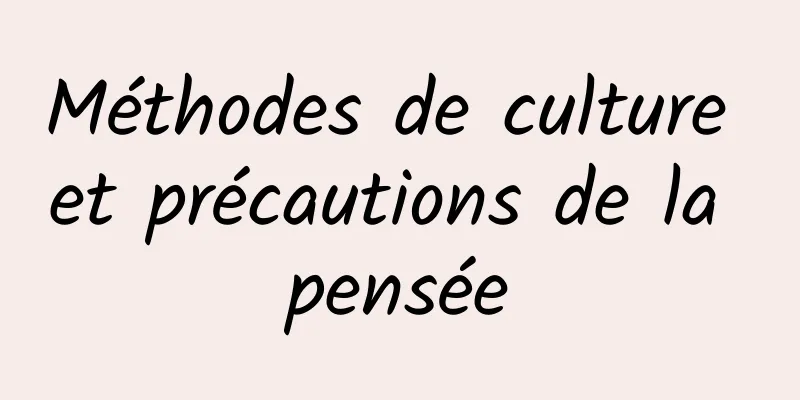 Méthodes de culture et précautions de la pensée