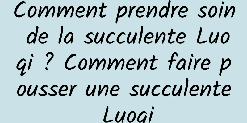 Comment prendre soin de la succulente Luoqi ? Comment faire pousser une succulente Luoqi