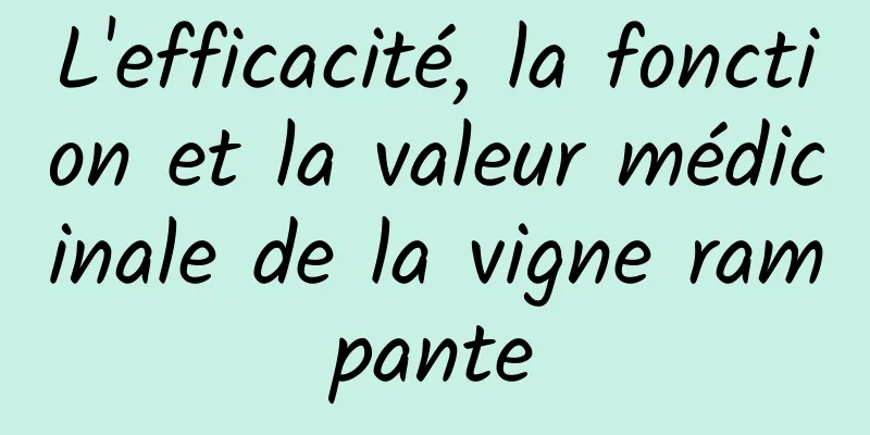 L'efficacité, la fonction et la valeur médicinale de la vigne rampante