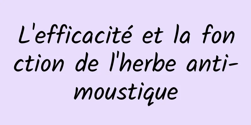 L'efficacité et la fonction de l'herbe anti-moustique