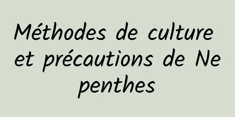 Méthodes de culture et précautions de Nepenthes