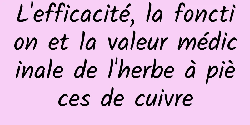 L'efficacité, la fonction et la valeur médicinale de l'herbe à pièces de cuivre