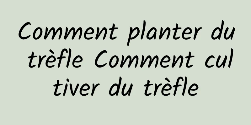 Comment planter du trèfle Comment cultiver du trèfle