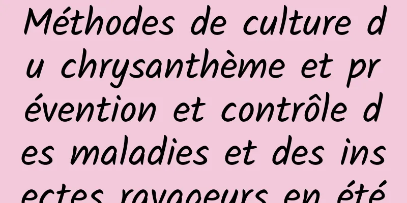 Méthodes de culture du chrysanthème et prévention et contrôle des maladies et des insectes ravageurs en été