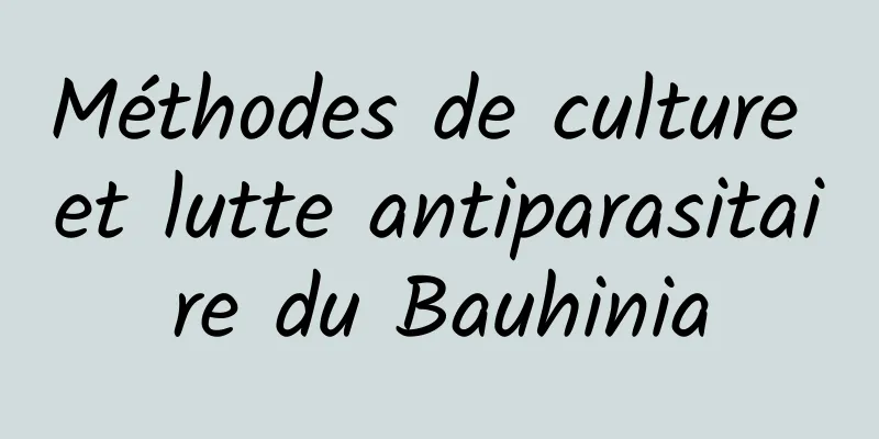 Méthodes de culture et lutte antiparasitaire du Bauhinia