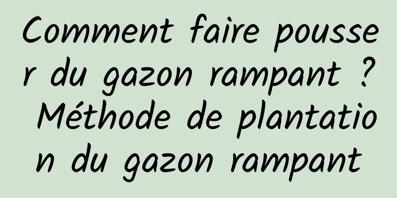 Comment faire pousser du gazon rampant ? Méthode de plantation du gazon rampant