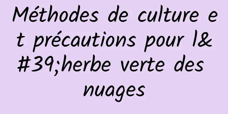 Méthodes de culture et précautions pour l'herbe verte des nuages