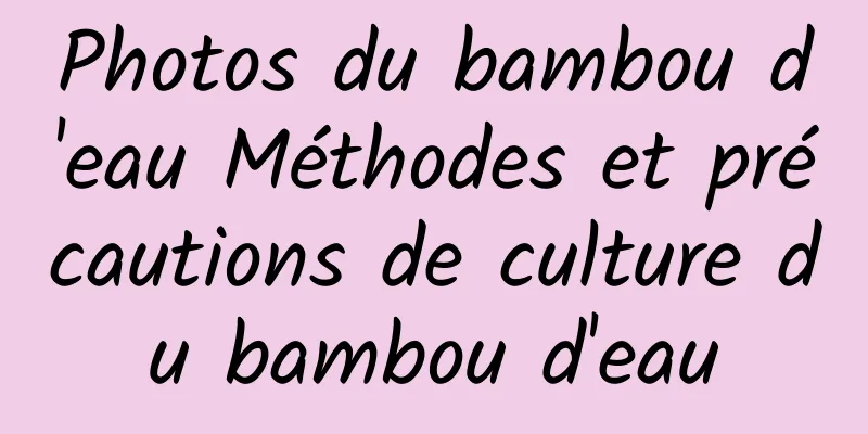 Photos du bambou d'eau Méthodes et précautions de culture du bambou d'eau