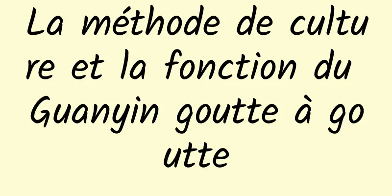 La méthode de culture et la fonction du Guanyin goutte à goutte