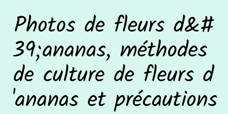 Photos de fleurs d'ananas, méthodes de culture de fleurs d'ananas et précautions