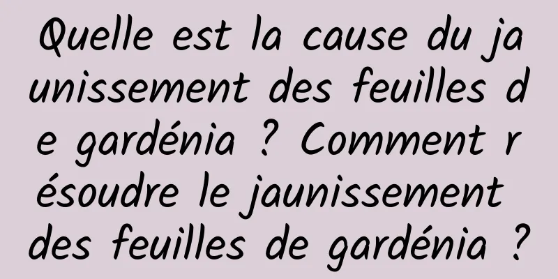 Quelle est la cause du jaunissement des feuilles de gardénia ? Comment résoudre le jaunissement des feuilles de gardénia ?