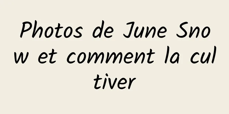 Photos de June Snow et comment la cultiver