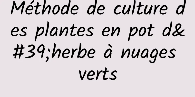 Méthode de culture des plantes en pot d'herbe à nuages ​​verts