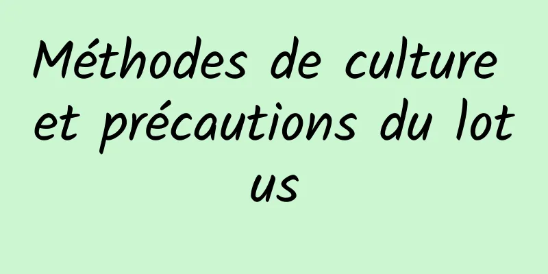 Méthodes de culture et précautions du lotus