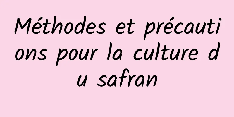 Méthodes et précautions pour la culture du safran