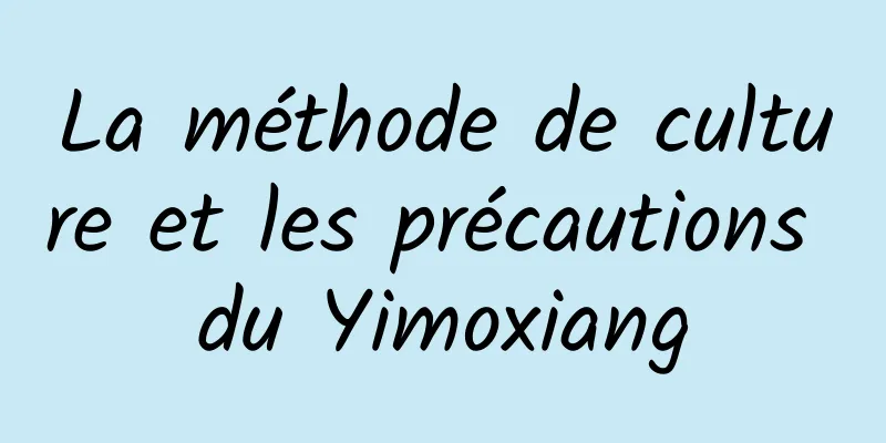 La méthode de culture et les précautions du Yimoxiang