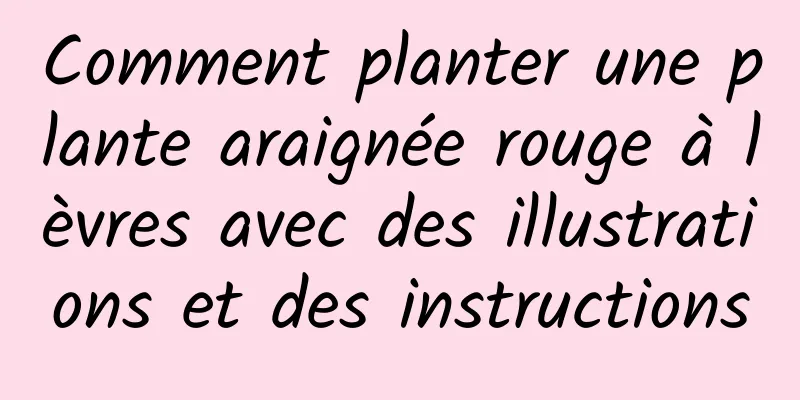 Comment planter une plante araignée rouge à lèvres avec des illustrations et des instructions