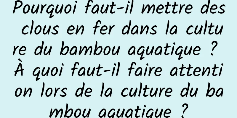 Pourquoi faut-il mettre des clous en fer dans la culture du bambou aquatique ? À quoi faut-il faire attention lors de la culture du bambou aquatique ?