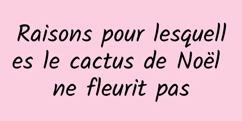 Raisons pour lesquelles le cactus de Noël ne fleurit pas