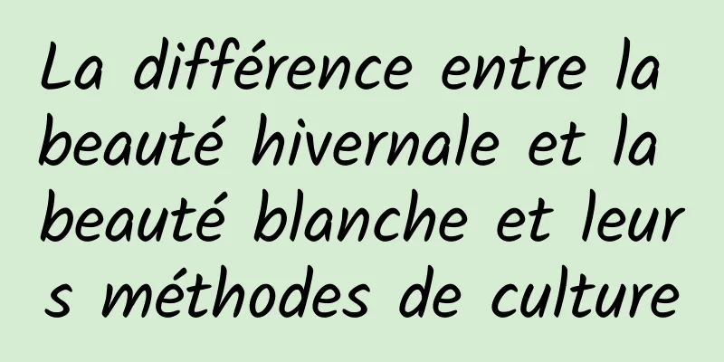 La différence entre la beauté hivernale et la beauté blanche et leurs méthodes de culture