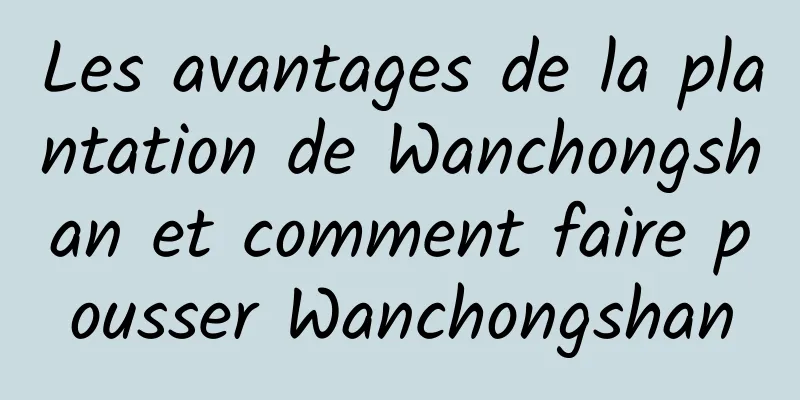 Les avantages de la plantation de Wanchongshan et comment faire pousser Wanchongshan