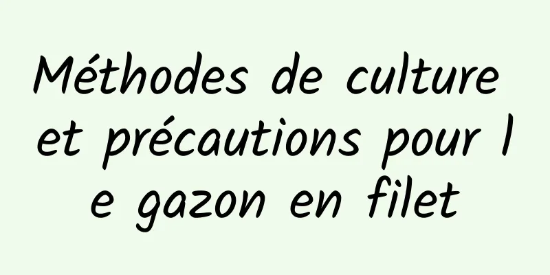 Méthodes de culture et précautions pour le gazon en filet