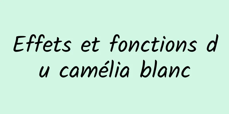 Effets et fonctions du camélia blanc