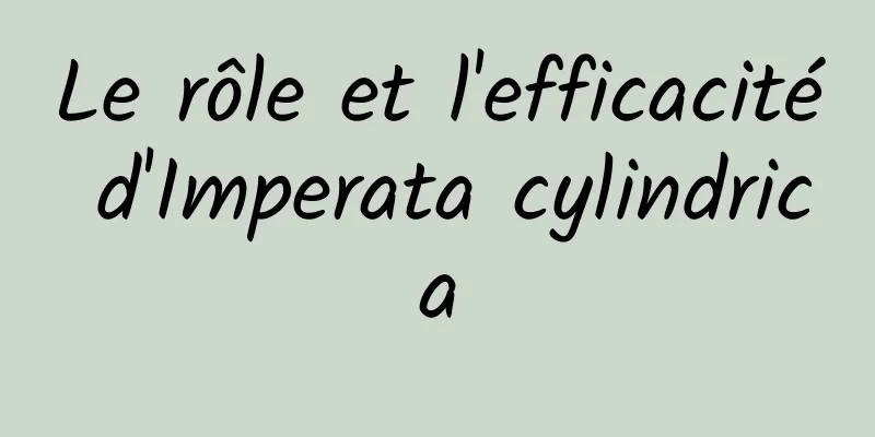 Le rôle et l'efficacité d'Imperata cylindrica