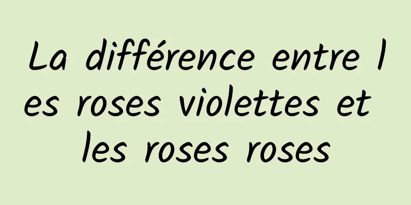 La différence entre les roses violettes et les roses roses