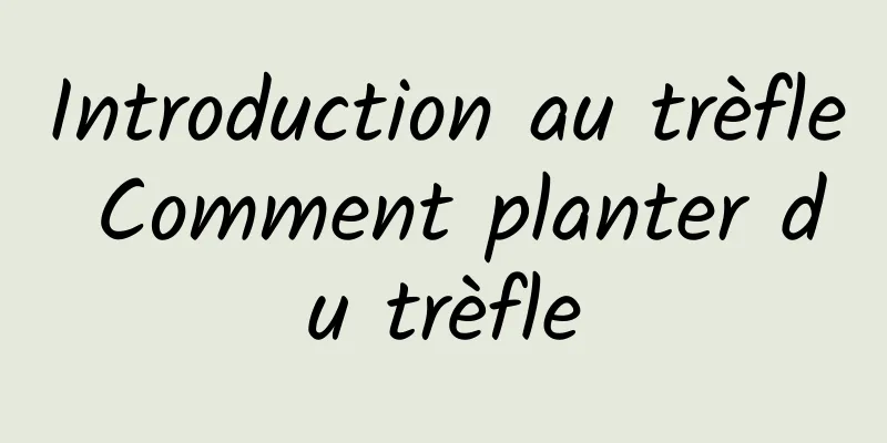 Introduction au trèfle Comment planter du trèfle