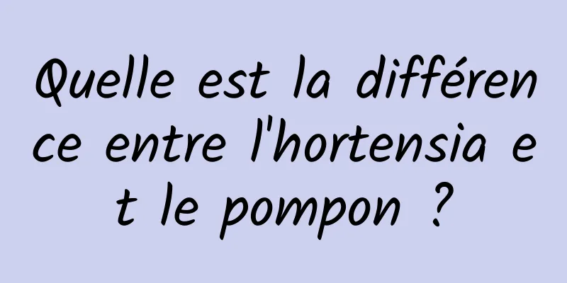 Quelle est la différence entre l'hortensia et le pompon ?