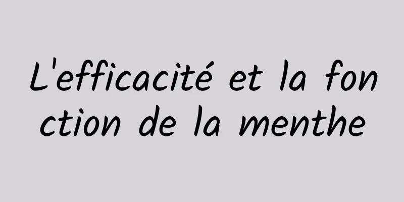 L'efficacité et la fonction de la menthe