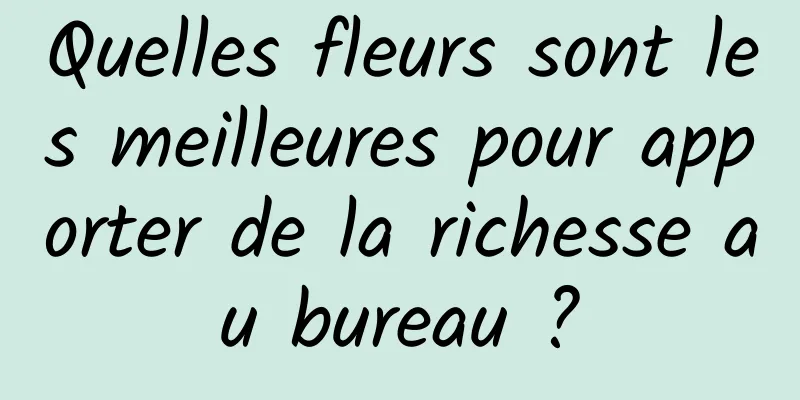 Quelles fleurs sont les meilleures pour apporter de la richesse au bureau ?