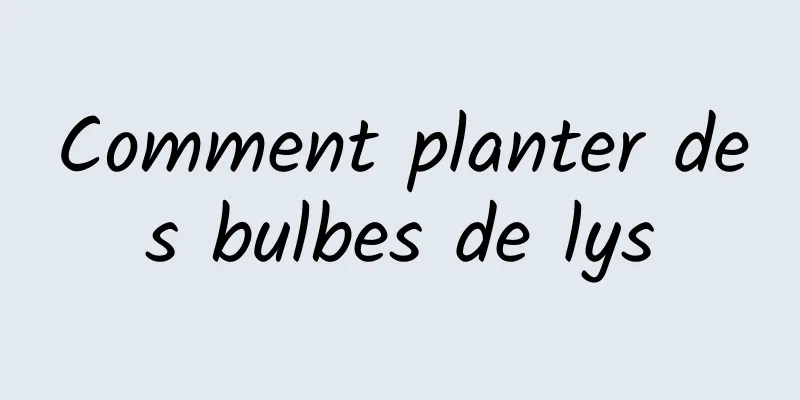 Comment planter des bulbes de lys