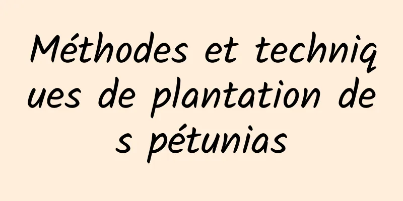 Méthodes et techniques de plantation des pétunias