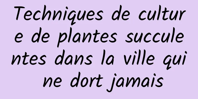 Techniques de culture de plantes succulentes dans la ville qui ne dort jamais