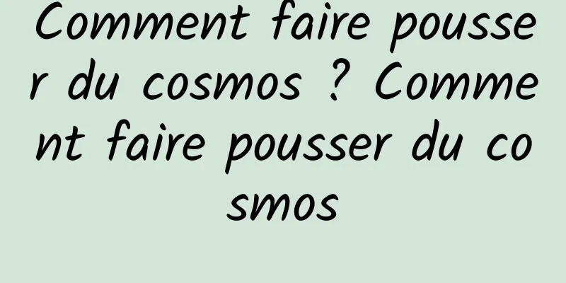 Comment faire pousser du cosmos ? Comment faire pousser du cosmos