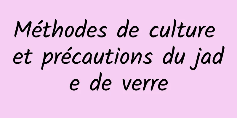 Méthodes de culture et précautions du jade de verre