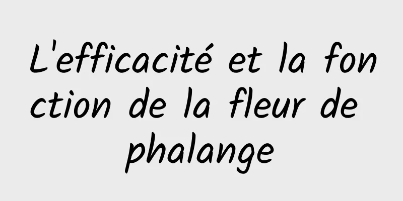 L'efficacité et la fonction de la fleur de phalange