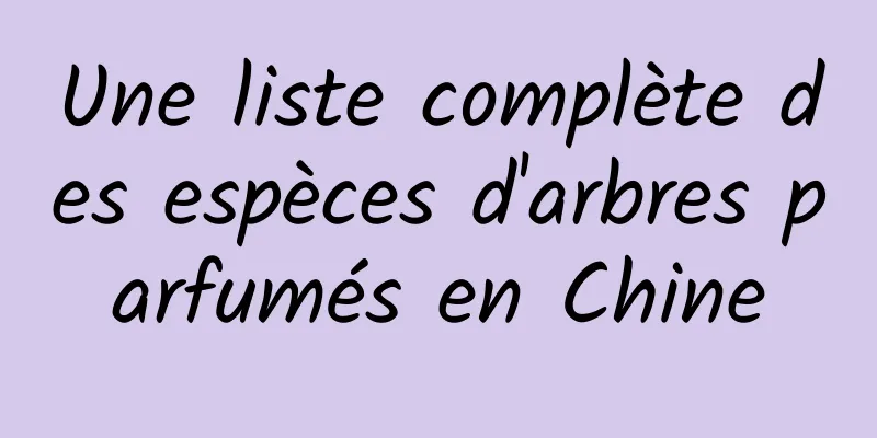 Une liste complète des espèces d'arbres parfumés en Chine