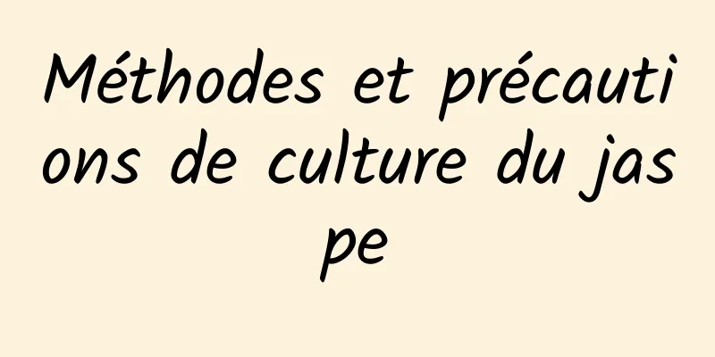 Méthodes et précautions de culture du jaspe