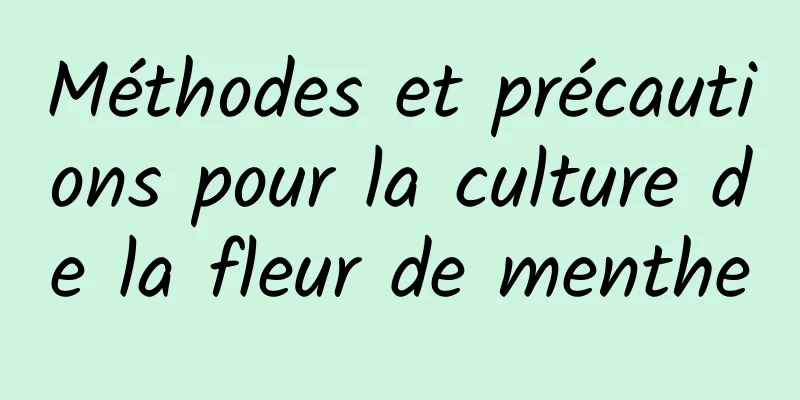 Méthodes et précautions pour la culture de la fleur de menthe