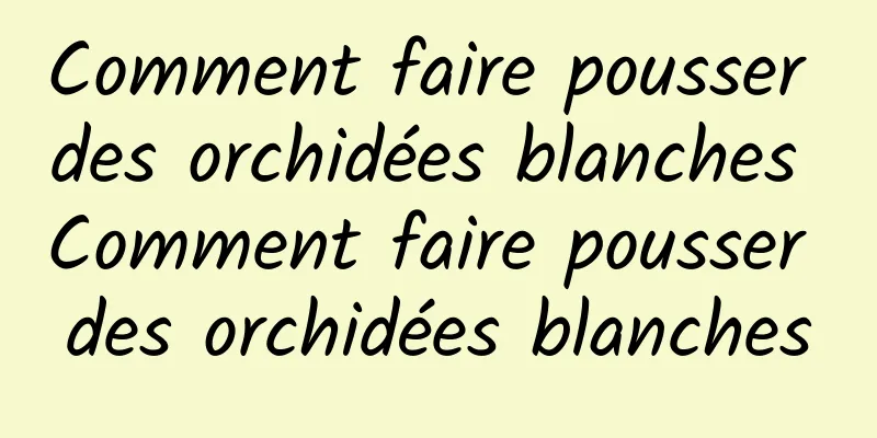 Comment faire pousser des orchidées blanches Comment faire pousser des orchidées blanches