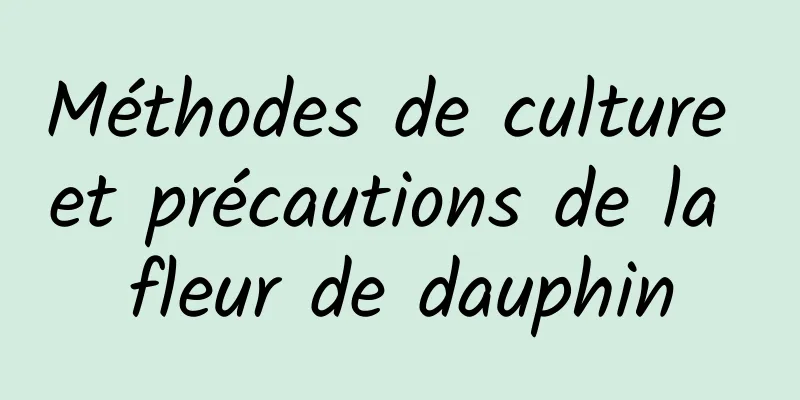 Méthodes de culture et précautions de la fleur de dauphin