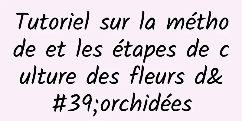 Tutoriel sur la méthode et les étapes de culture des fleurs d'orchidées