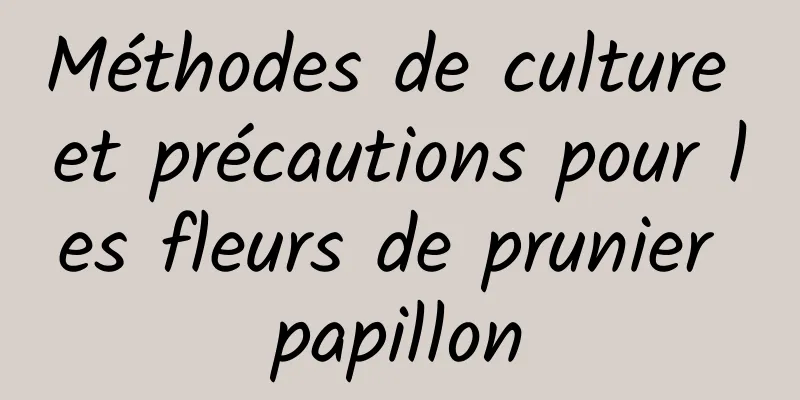 Méthodes de culture et précautions pour les fleurs de prunier papillon